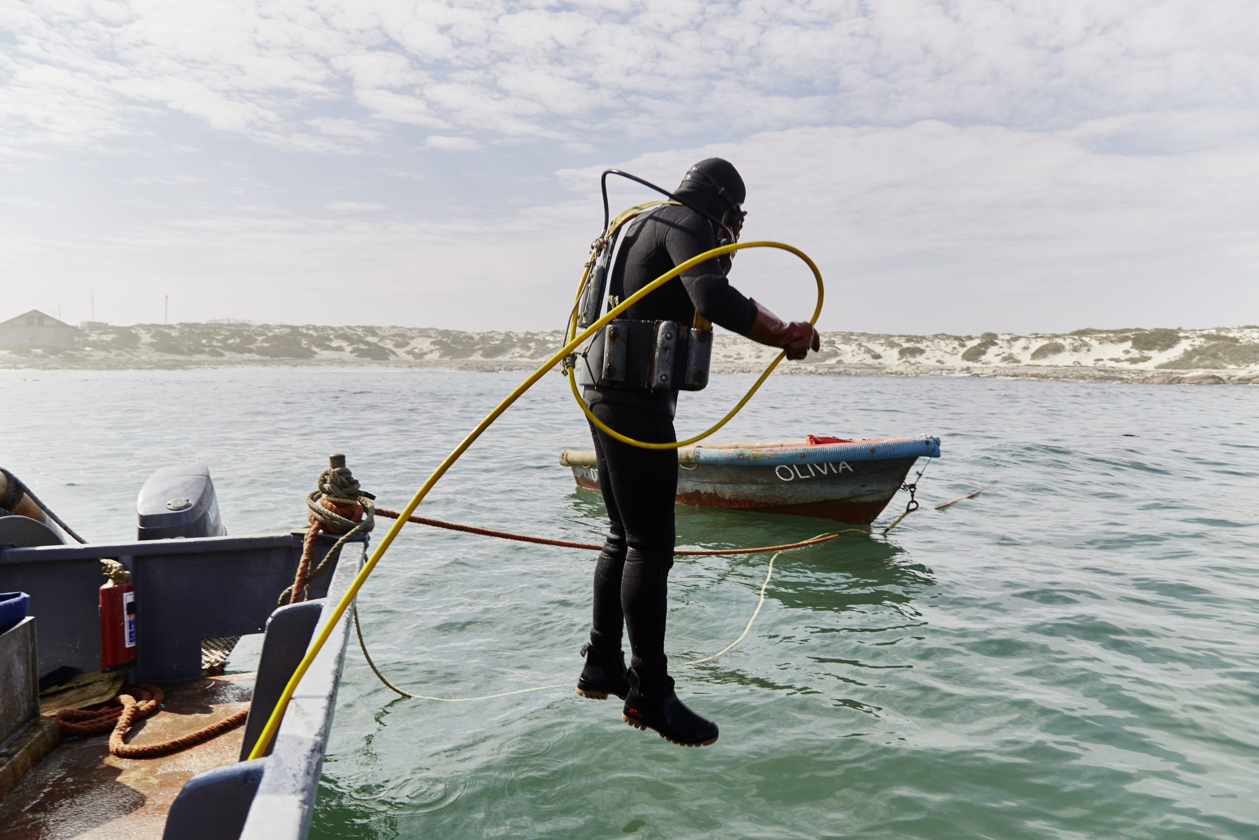 BD_SafariDiving_0200